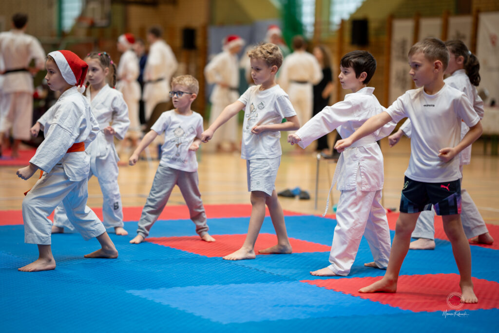 Aqua Team x Mały Karateka. Mikołajkowy turniej karate
